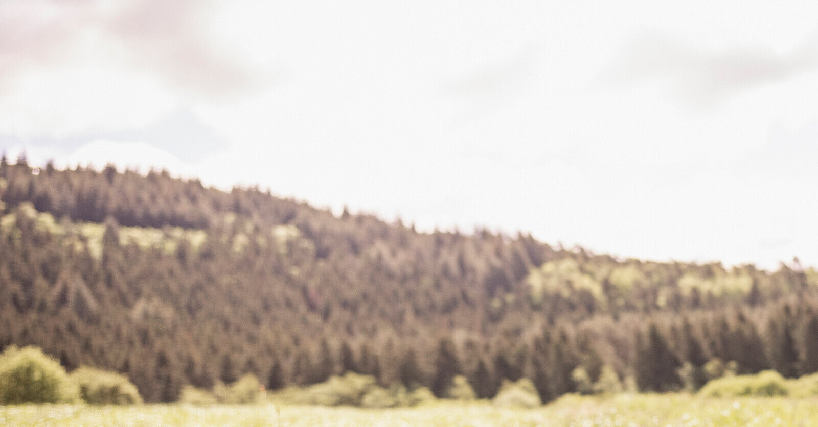 OEKO-TEX® 2022/2023年度报告