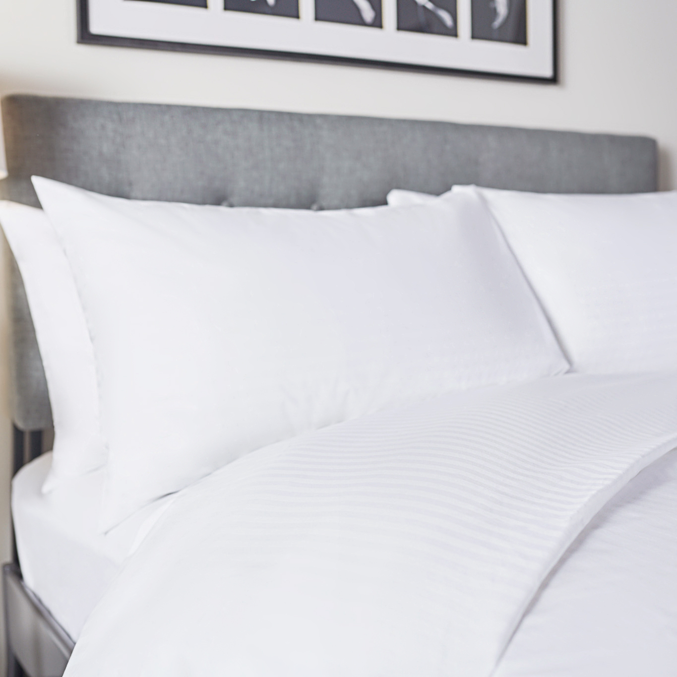 Indulgence T-250 Boutique Sheets & Pillowcases